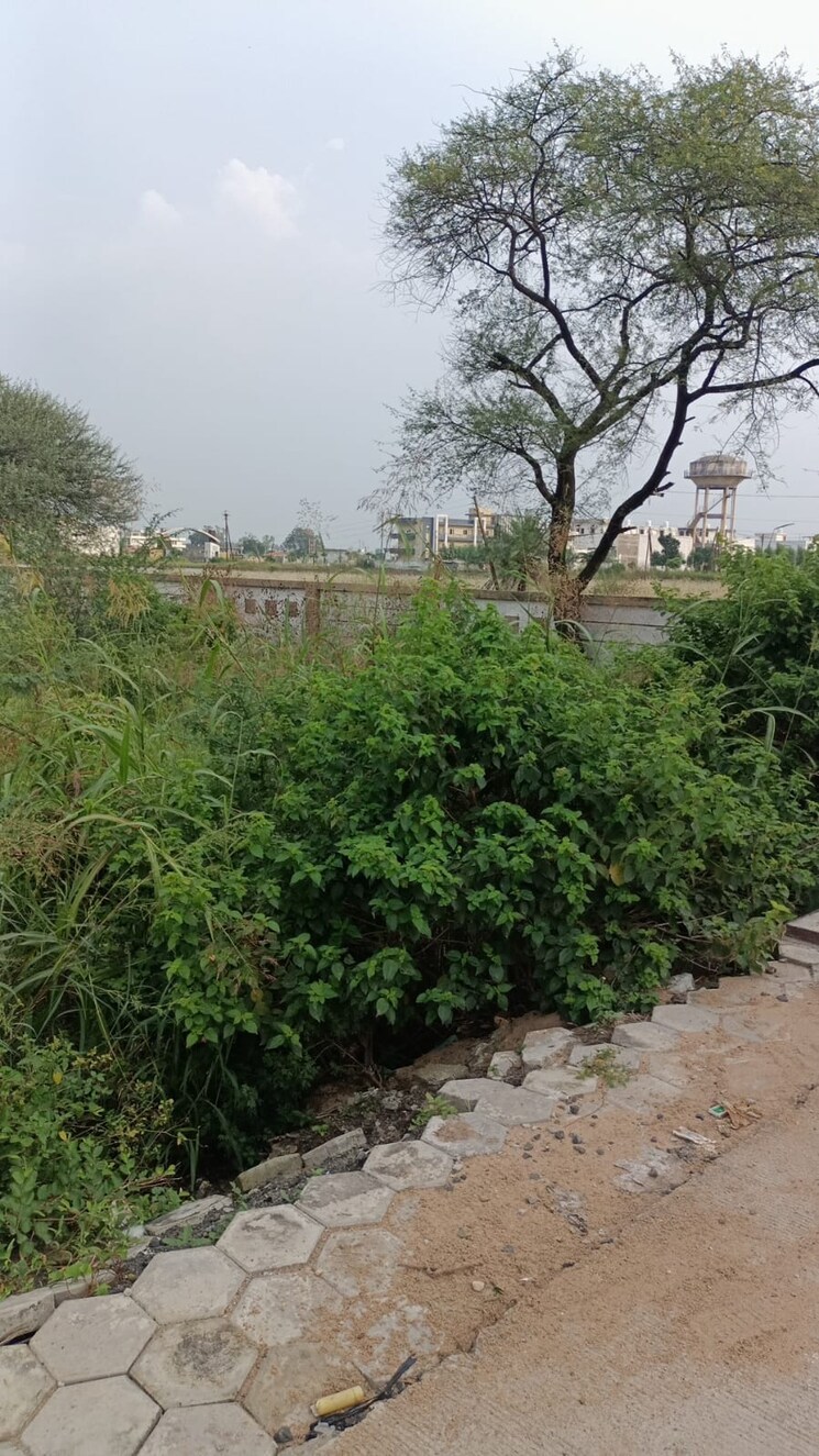 undefined, super corridor  1500 Sq.Ft. Plot In Super Corridor Indore 8023745