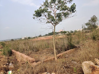 Plot For Resale in Pandurangapuram Bapatla  8024072