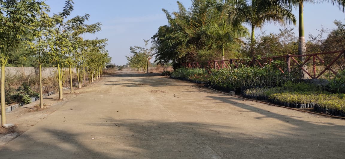 Plot For Sale in Ask City 