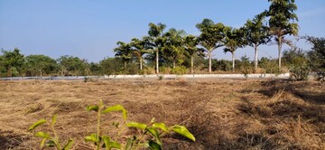 Plot Area in  Plot at Sejbahar – for Sale