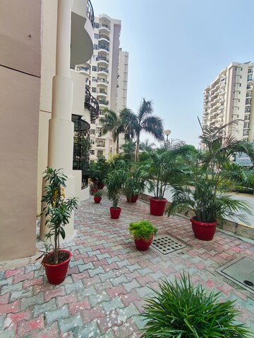 3 BHK Builder Floor – Exterior View View at Ansal Sushant Apartments, Sushant Lok I - for Rent