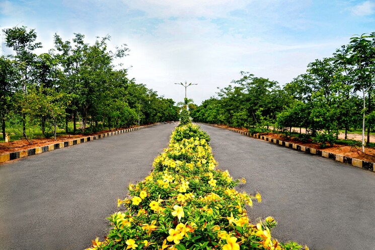Garden, bhongiri warangal highway  320 Sq.Yd. Plot In Bhongiri Warangal Highway Hyderabad 8024199