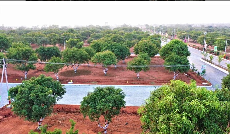 Garden, bhongiri warangal highway  450 Sq.Yd. Plot In Bhongiri Warangal Highway Hyderabad 8024207