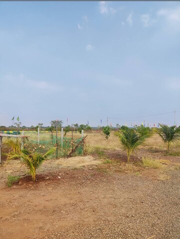 Plot Area in  Plot at Neemsboro Manavooru, Narayankhed – for Sale