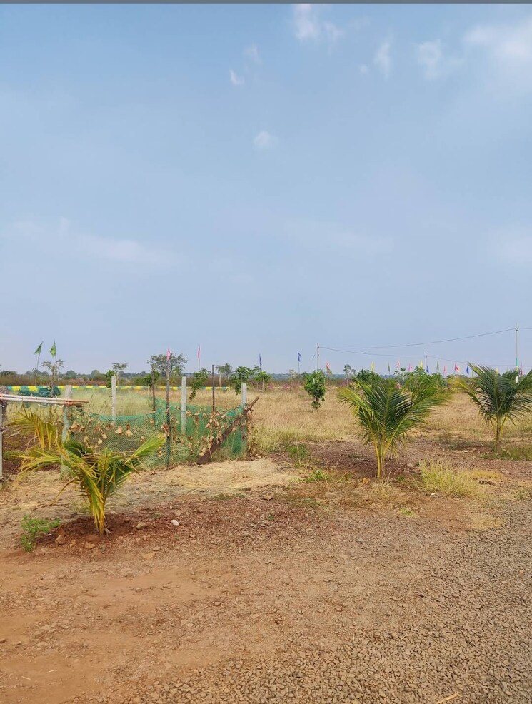 undefined, neemsboro-manavooru  250 Sq.Yd. Plot In Narayankhed Hyderabad 8024206