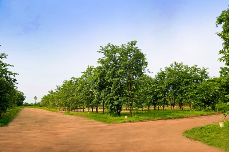 Garden, bhongiri warangal highway  150 Sq.Yd. Plot In Bhongiri Warangal Highway Hyderabad 8024214