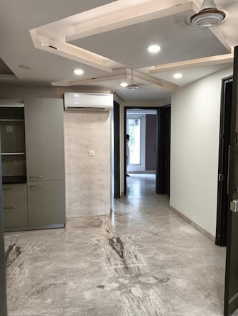 3 BHK Apartment For Rent in RWA Chittaranjan Park Block R Chittaranjan Park Delhi  8024208