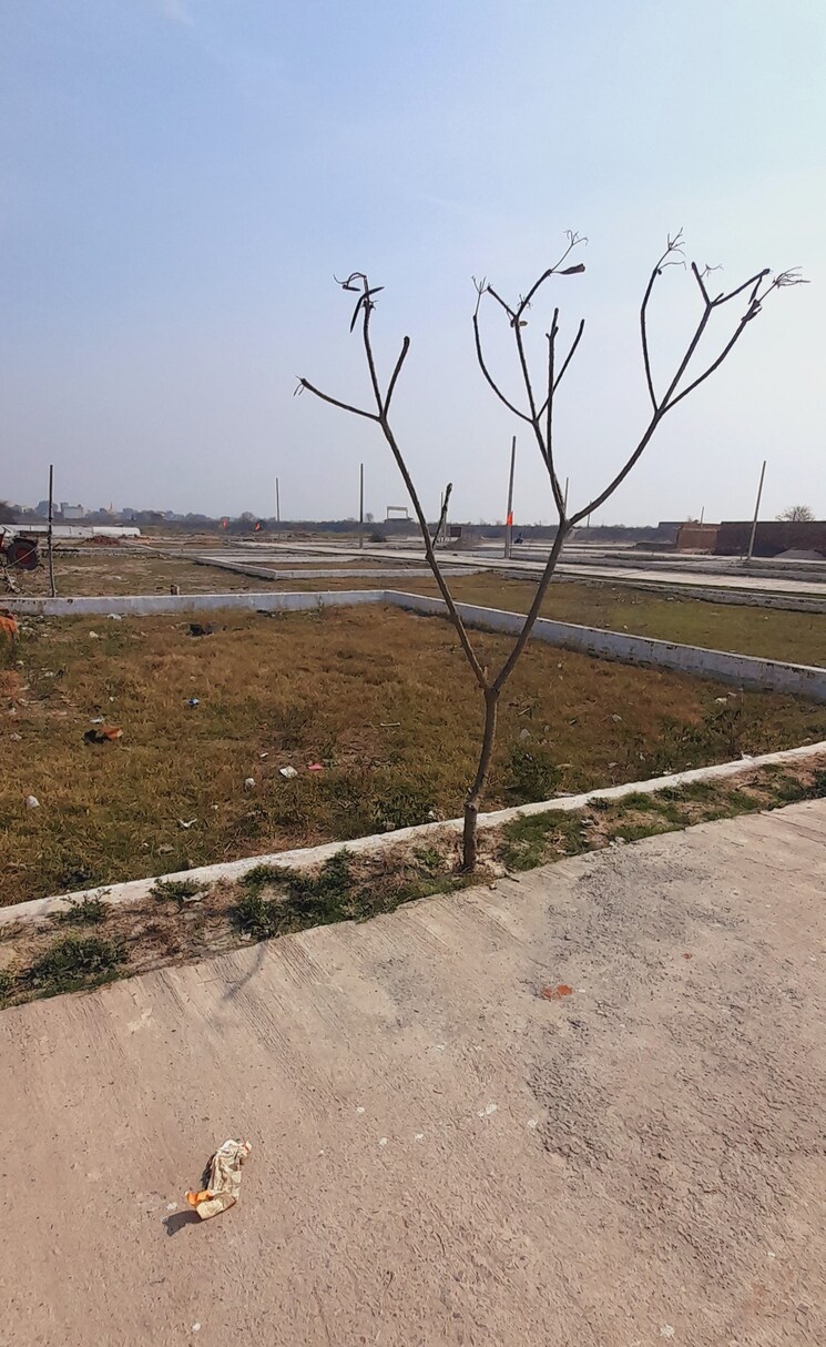 undefined, jewar  580 Sq.Yd. Plot In Jewar Greater Noida 8024688
