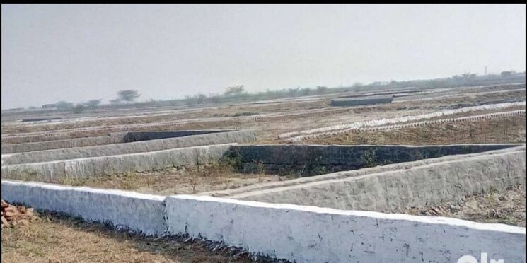 undefined, yamuna expressway  80 Sq.Yd. Plot In Yamuna Expressway Greater Noida 8024765