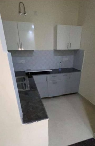 2 BHK Apartment For Rent in Sector 42 Noida  8024775