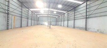 Commercial Warehouse 9100 Sq.Ft. For Rent in Bareja Ahmedabad  8024786