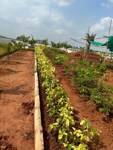   Plot at Sri Bhumi Eeshaanya, Kankipadu – for Sale