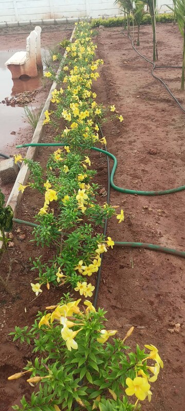  Plot – Exterior View View at Sri Bhumi Eeshaanya, Kankipadu - for Sale