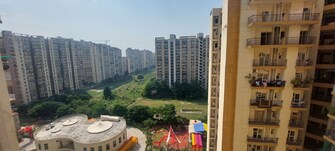 3 BHK Apartment For Rent in Gardenia Golf City Sector 75 Noida  8025241