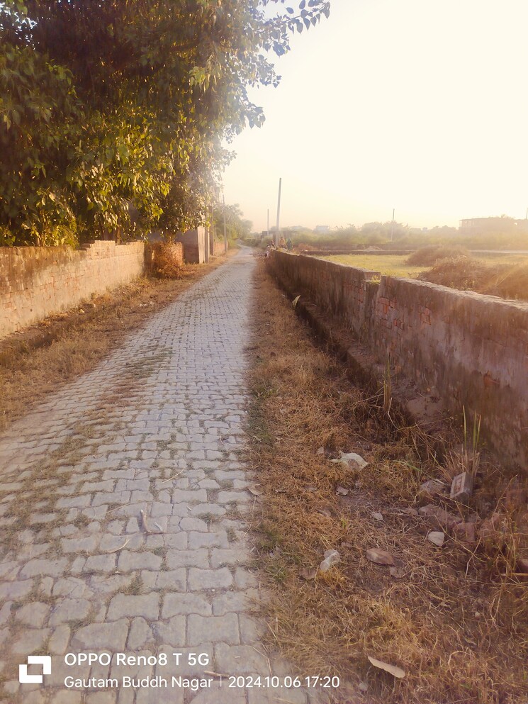 undefined, sector 27 yamuna expressway  140 Sq.Yd. Plot In Sector 27 Yamuna Expressway Greater Noida 8025251