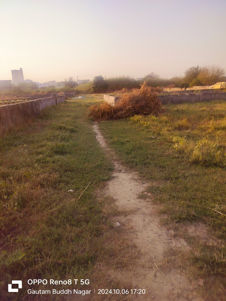 undefined, sector 27 yamuna expressway  140 Sq.Yd. Plot In Sector 27 Yamuna Expressway Greater Noida 8025251