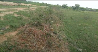 Plot For Resale in Dundigal Hyderabad  8025283