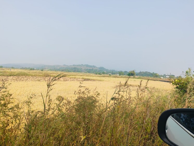 undefined, chirle Commercial Land 1089 Sq.Ft. In Chirle Navi Mumbai 8025329