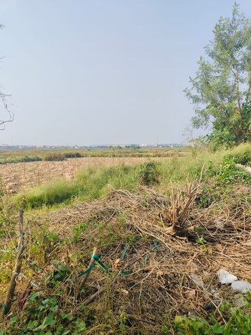 Plot Area in  Land at Chirle – for Sale