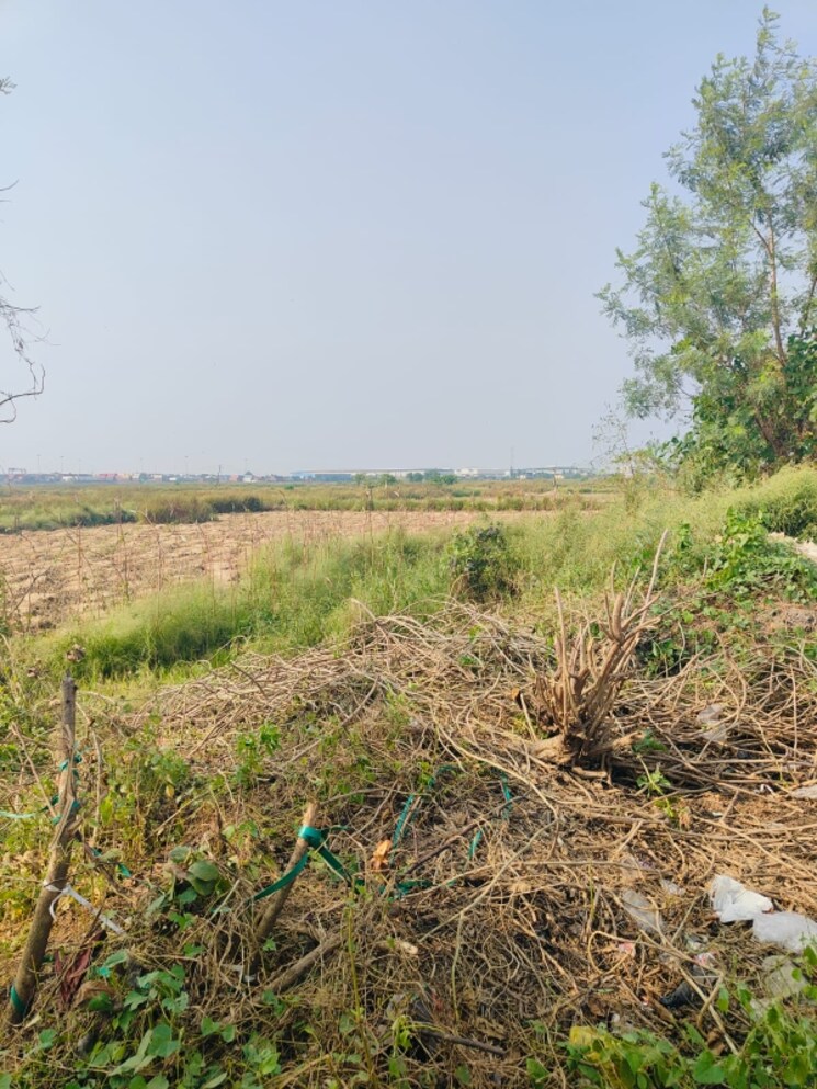 undefined, chirle Commercial Land 1089 Sq.Ft. In Chirle Navi Mumbai 8025329