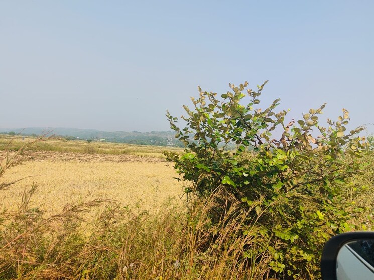 undefined, chirle Commercial Land 1089 Sq.Ft. In Chirle Navi Mumbai 8025329