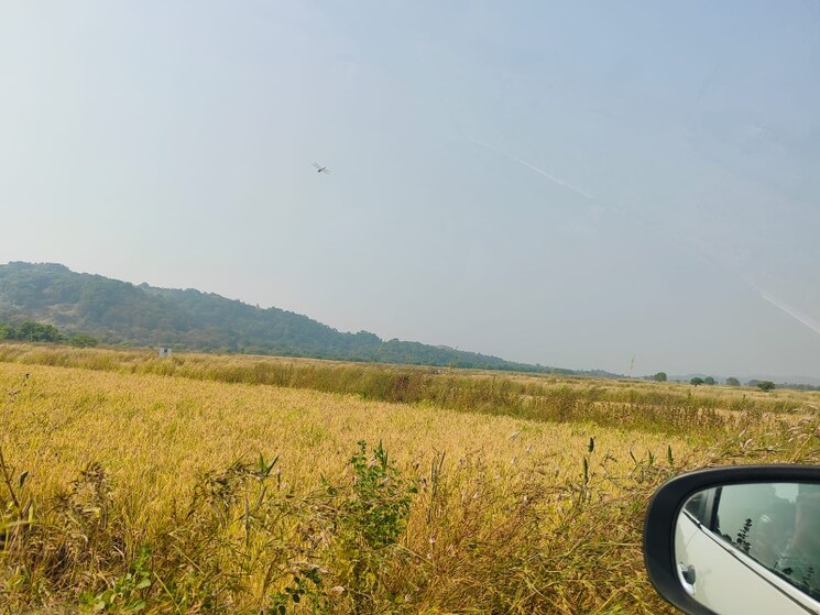 undefined, chirle  1089 Sq.Ft. Plot In Chirle Navi Mumbai 8025334