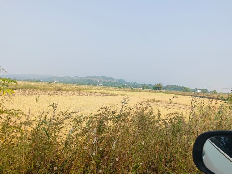 undefined, chirle  1089 Sq.Ft. Plot In Chirle Navi Mumbai 8025334