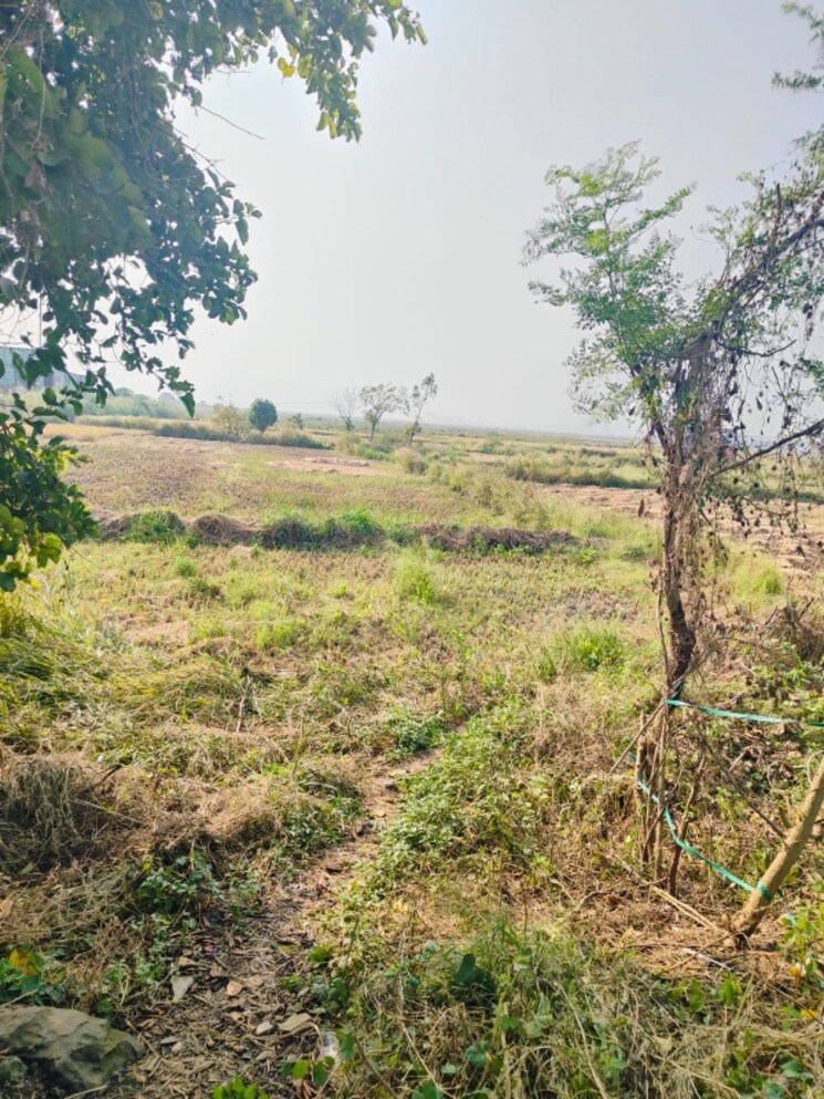 undefined, chirle  1089 Sq.Ft. Plot In Chirle Navi Mumbai 8025334