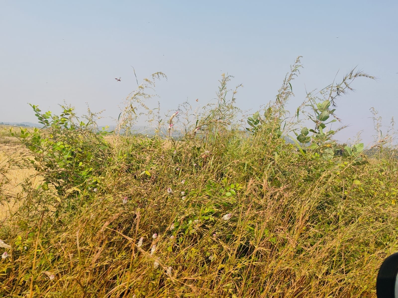 Plot For Sale in Legal Property Developers