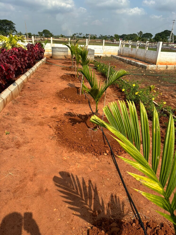 Exterior View, sri-bhumi-eeshaanya  250 Sq.Yd. Plot In Kankipadu Vijayawada 8025362