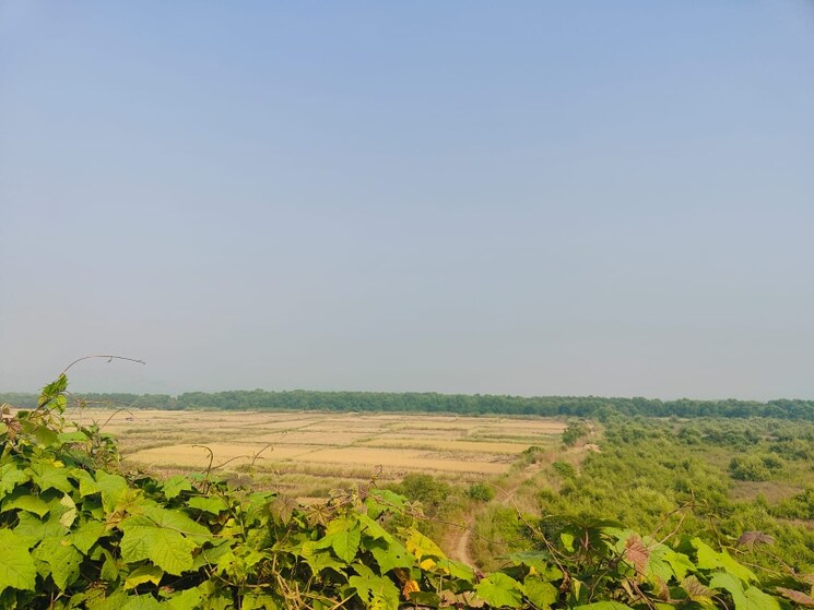 undefined, chirle Commercial Land 1089 Sq.Ft. In Chirle Navi Mumbai 8025381