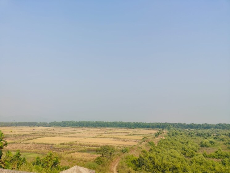 undefined, chirle Commercial Land 1089 Sq.Ft. In Chirle Navi Mumbai 8025381