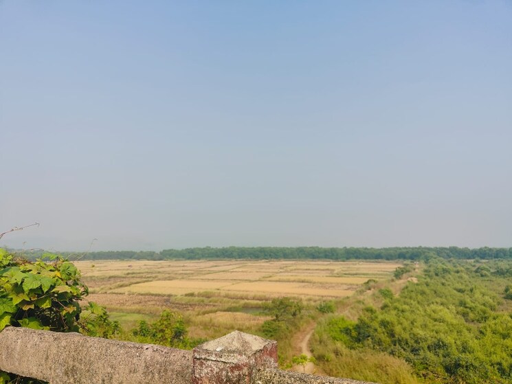 undefined, chirle Commercial Land 1089 Sq.Ft. In Chirle Navi Mumbai 8025381