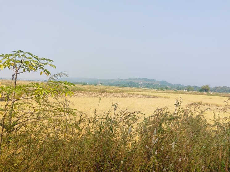 undefined, chirle Commercial Land 1089 Sq.Ft. In Chirle Navi Mumbai 8025381