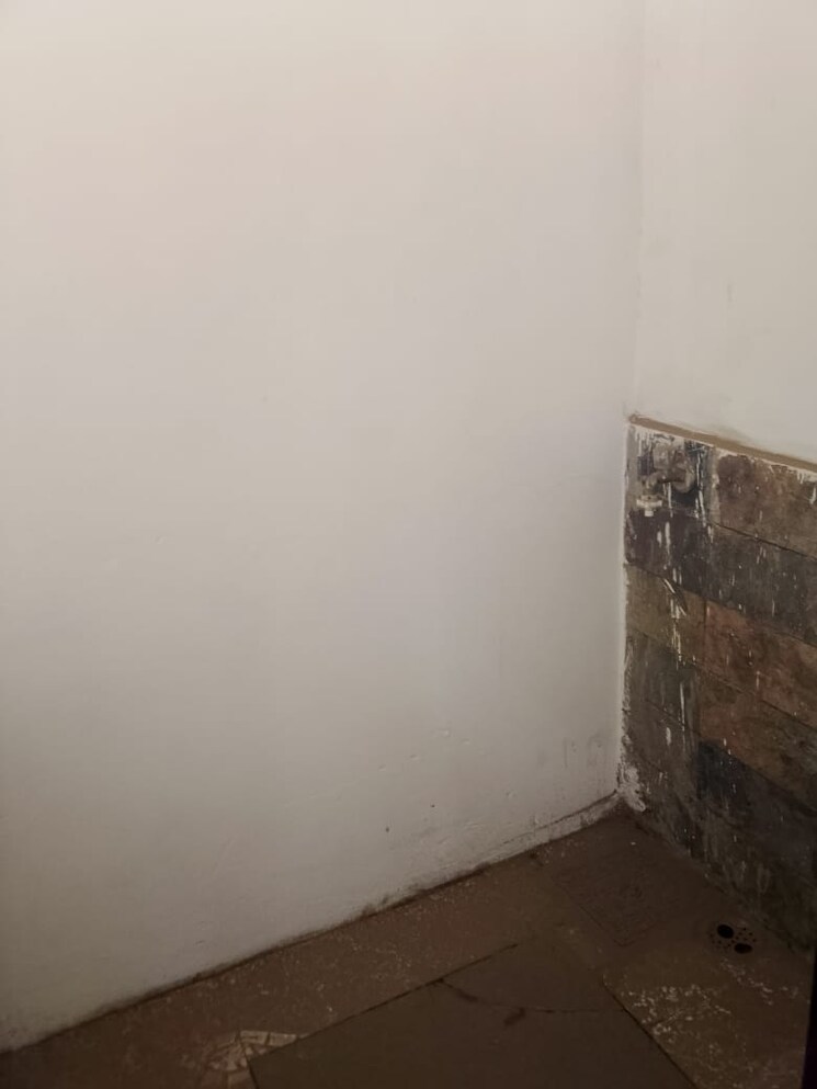 Room, saket 2 Bedroom 800 Sq.Ft. Builder Floor In Saket Delhi 8025401