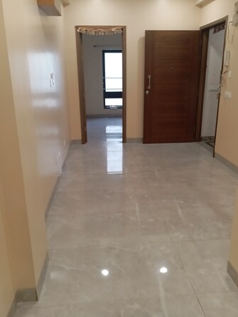 3 BHK Builder Floor For Rent in Krishna Nagar Delhi  8025713