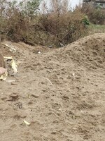 250 Sq.Yd. Plot in Sector 123