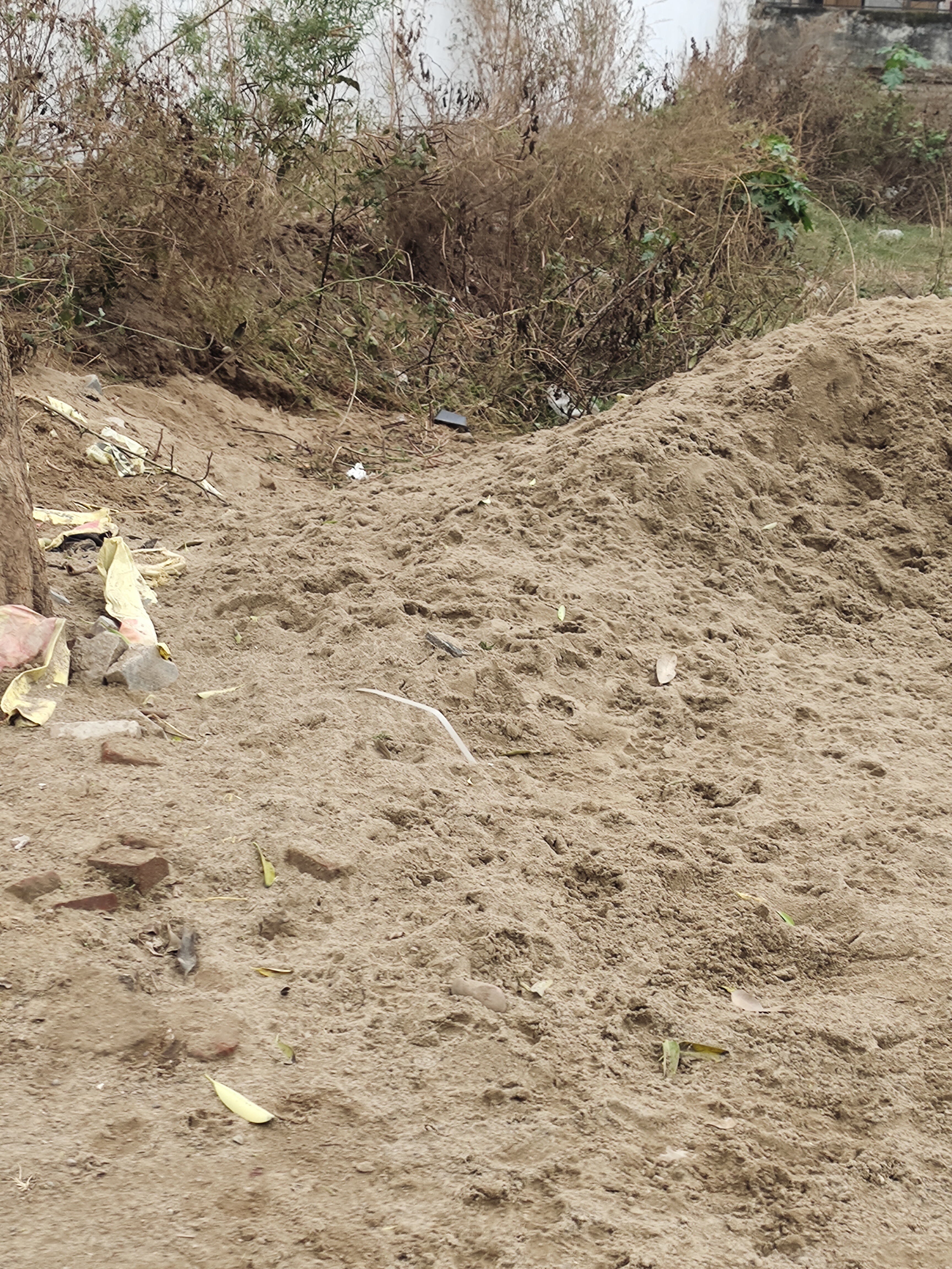 Plot For Sale in Sector 123