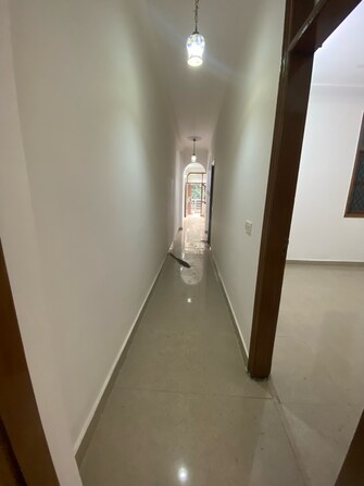 2 BHK Builder Floor For Rent in Boutique Residential Apartments C-220 Sarvodya Enclave Delhi  8025921