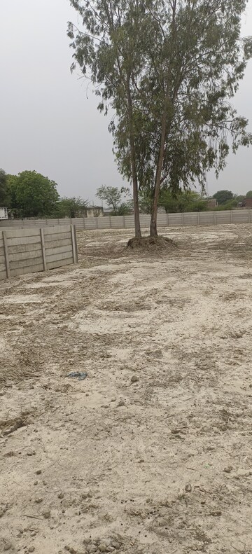 Plot Area in  Plot at Sushant Golf City – for Sale