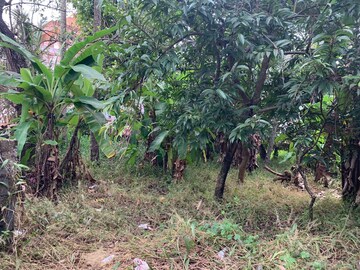 Plot Area in  Plot at Ulloor – for Sale