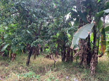  Plot For Sale in Ulloor