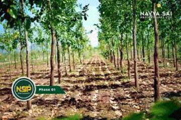 Plot Area in  Plot at Kantheru – for Sale