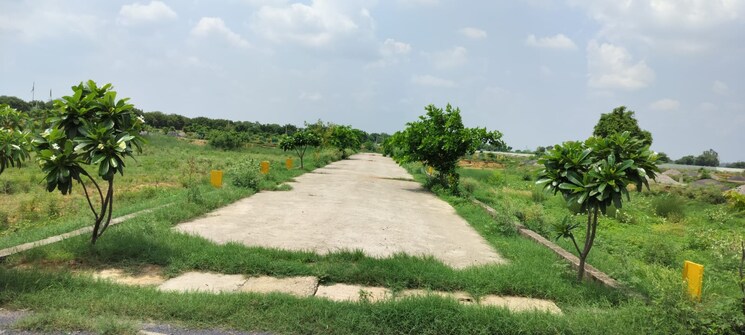 undefined, jewar  250 Sq.Yd. Plot In Jewar Greater Noida 8026213