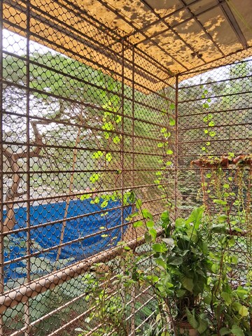 2 BHK Apartment – Exterior View View at Talwade - for Rent