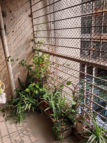 2 BHK Apartment – Exterior View View at Talwade - for Rent