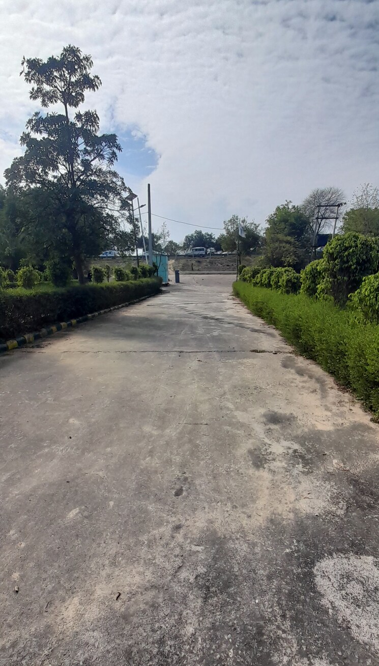 Garden, jewar  460 Sq.Yd. Plot In Jewar Greater Noida 8026550