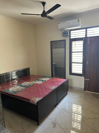 1 BHK Builder Floor For Rent in Sector 115 Chandigarh  8026669