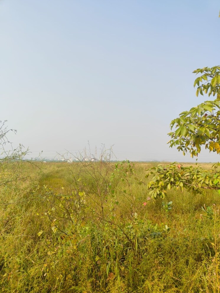 Garden, chirle  1089 Sq.Ft. Plot In Chirle Navi Mumbai 8026742