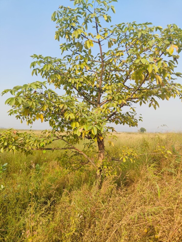 Exterior View, chirle  1089 Sq.Ft. Plot In Chirle Navi Mumbai 8026742